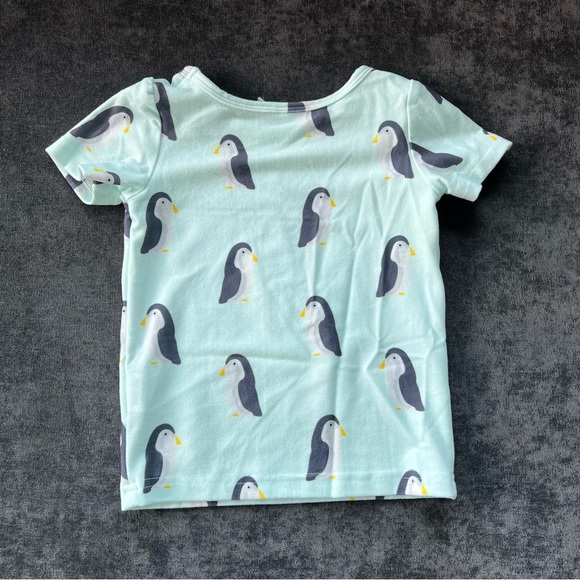 NWT Jane + Jo Penguin Pajama Set Size 2T - Picture 6 of 11